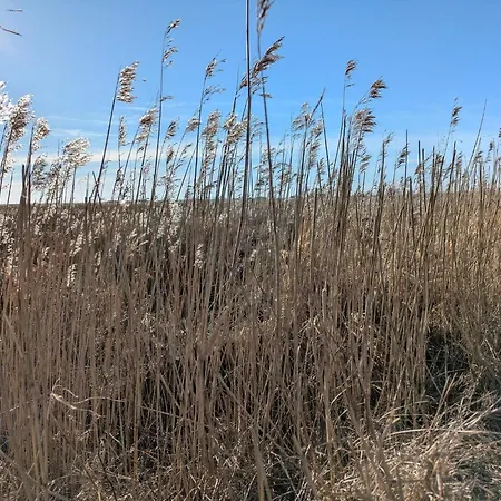 Holiday home Luxury Pool Retreat In - By Traum *